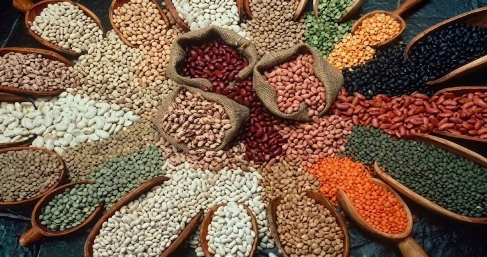 Pulses variety
